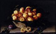 Louise Moillon Basket of Apricots France oil painting artist